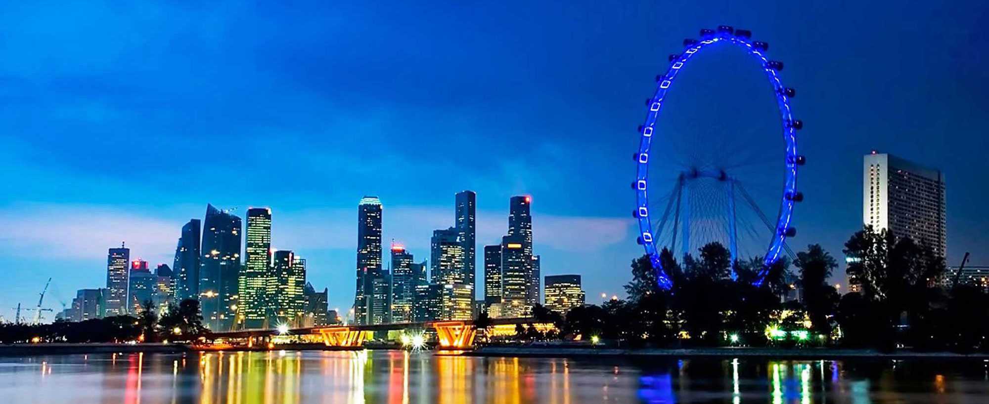 Singapore Global Investor Program